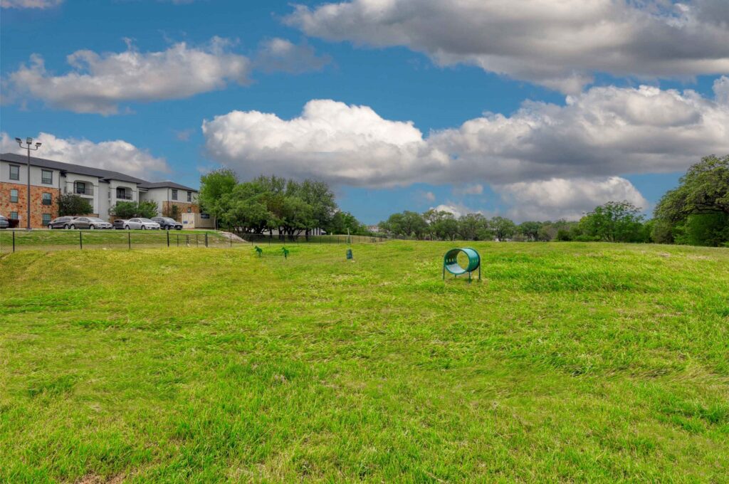 large fenced dog park with obstacles