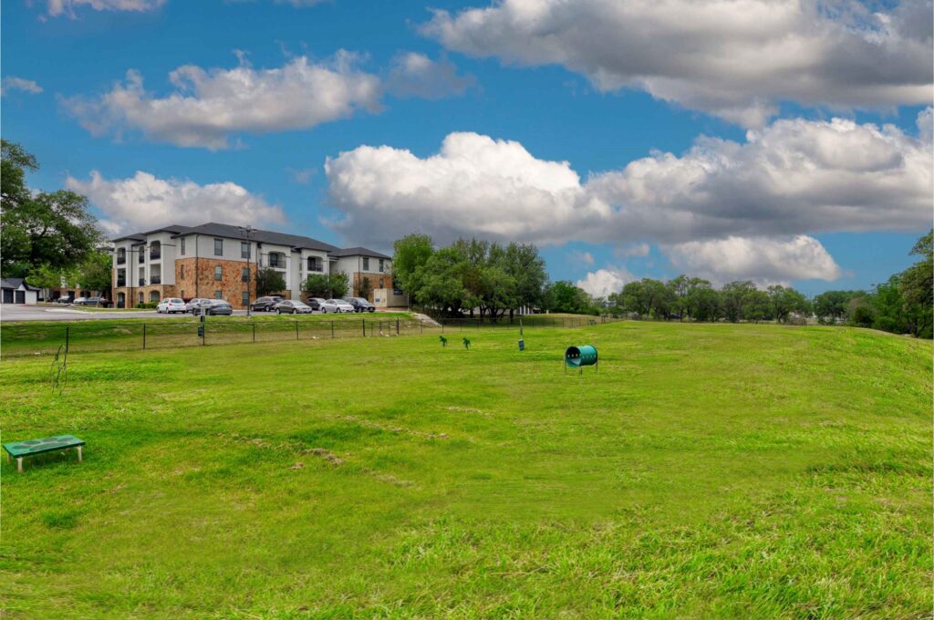 large fenced dog park with obstacles